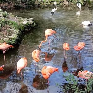 Meet your Posher, Carita